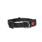 COLLAR NEGRO PARA PERROS GRANDES (diferentes tamaños)