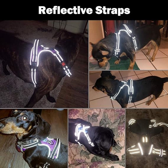 Pechera/arnés reflectante para perro, de raza GRANDE
