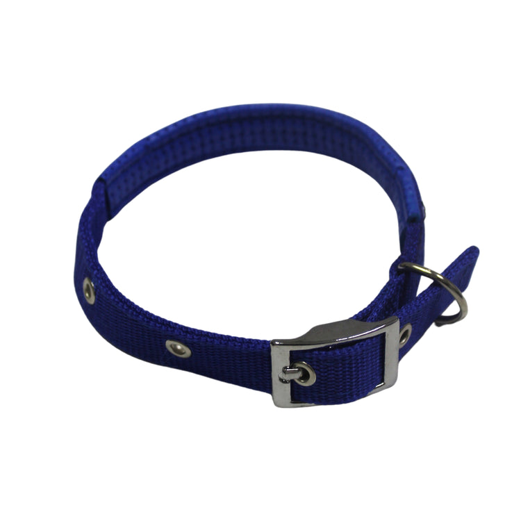 Collar Para Perro Azul