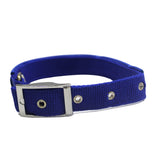 Collar Para Perro Azul