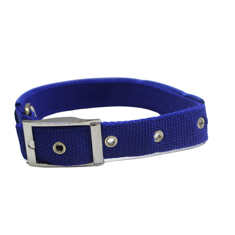 Collar Para Perro Azul