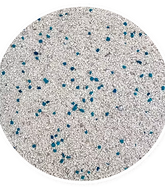 ARENA ALFA CAT 5+1KG