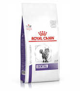Royal Canin Dry Health Management Dental Cat Nutrition