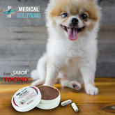 PILL COAT PASTA SABORIZADA P/ MASCOTAS 60GRS