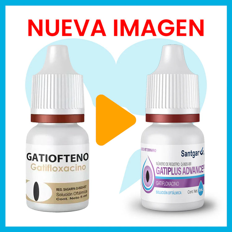 GATIPLUS ADVANCE 5 ML (GATIOFTENO)