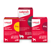 GALLIPRANT ELANCO