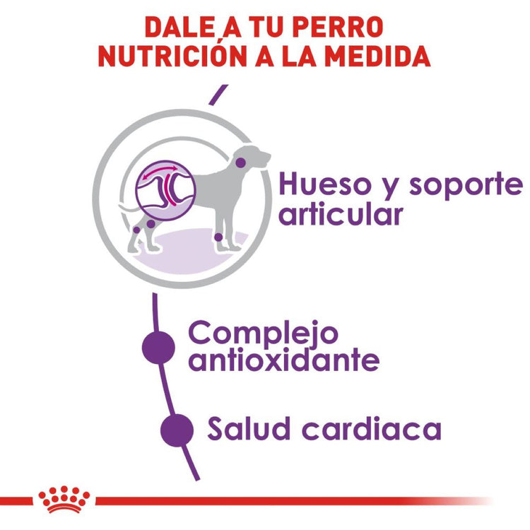 GIANT ADULT 13.61 KG