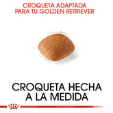 GOLDEN ADULTO 13.6KG