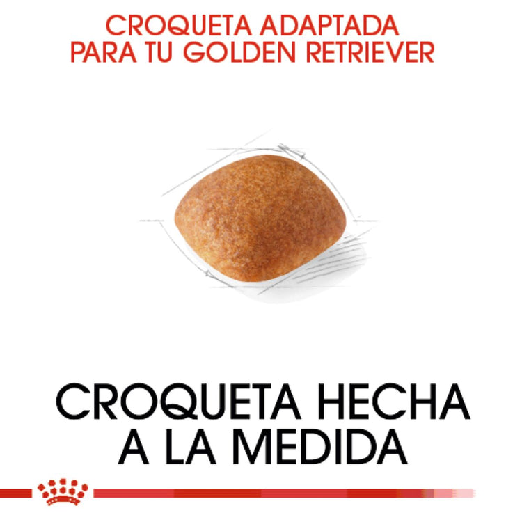 GOLDEN ADULTO 13.6KG Profesional