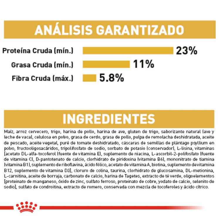 GOLDEN ADULTO 13.6KG