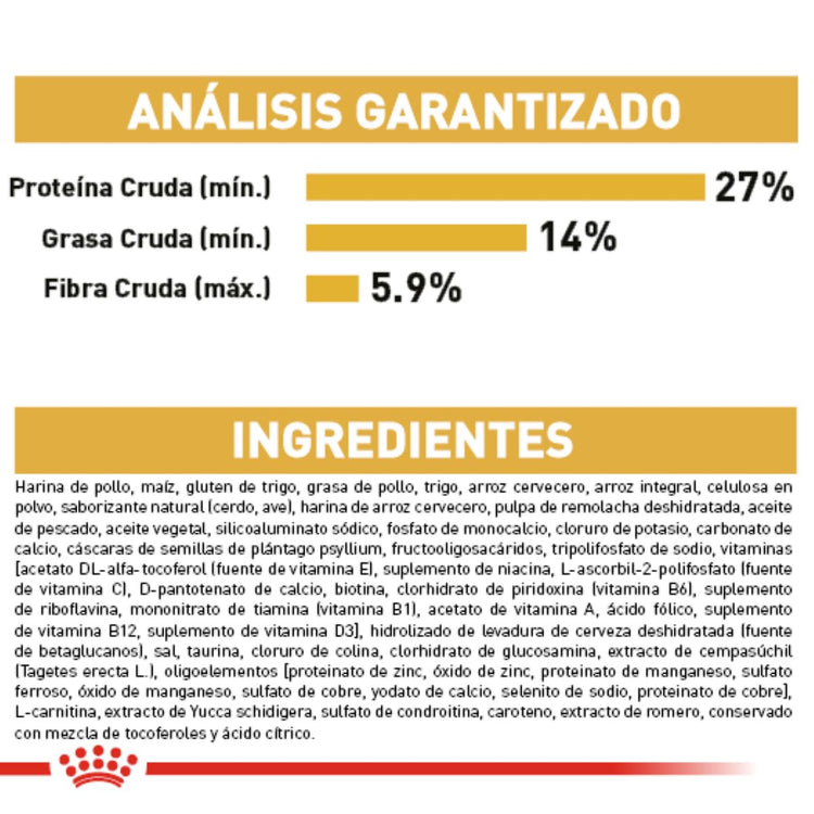 GOLDEN PUPPY 13.6KG Profesional