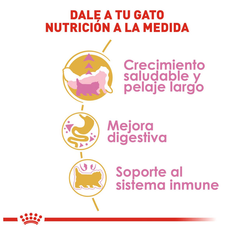 Persian Kitten 1.3kg Profesional