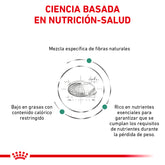 SATIETY SUPPORT FELINE