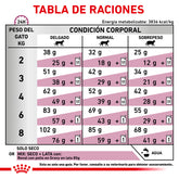 Renal Support Dry Cat