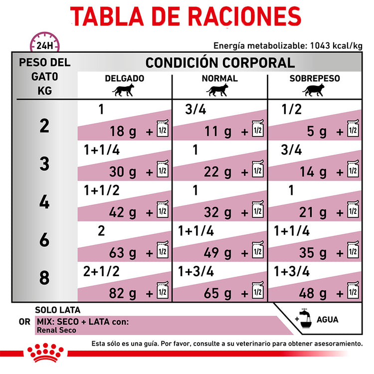 Lata Renal Support E Wet Cat 145gr
