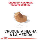 Shih Tzu Puppy 1.1 Kg. Profesional