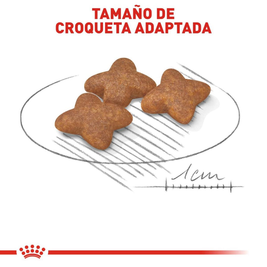 Mini Adult Royal Canin Profesional