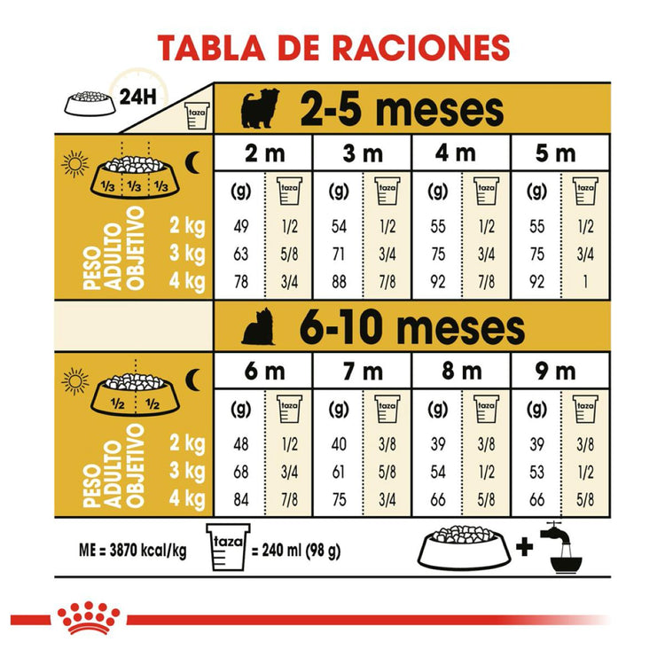 BHN YORKSHIRE TERRIER PUPPY 1 KG Profesional