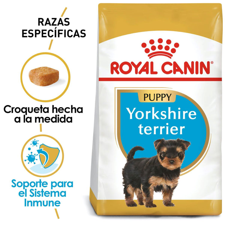 BHN YORKSHIRE TERRIER PUPPY 1 KG Profesional