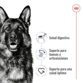 MAXI ADULTO ROYAL CANIN PROFESSIONAL