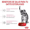 KITTEN SPAYED 1.1 KG ROYAL CANIN