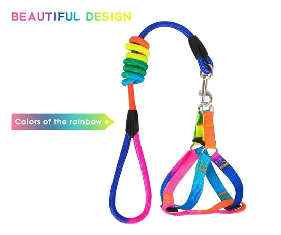 Juego de arnés y correa para perros Arnés para mascotas de nailon ajustable