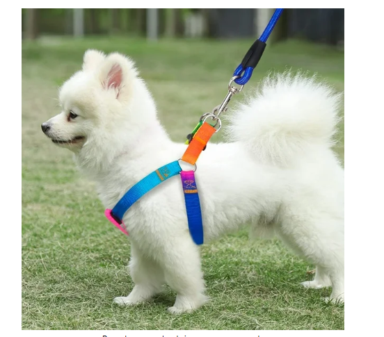 Juego de arnés y correa para perros Arnés para mascotas de nailon ajustable