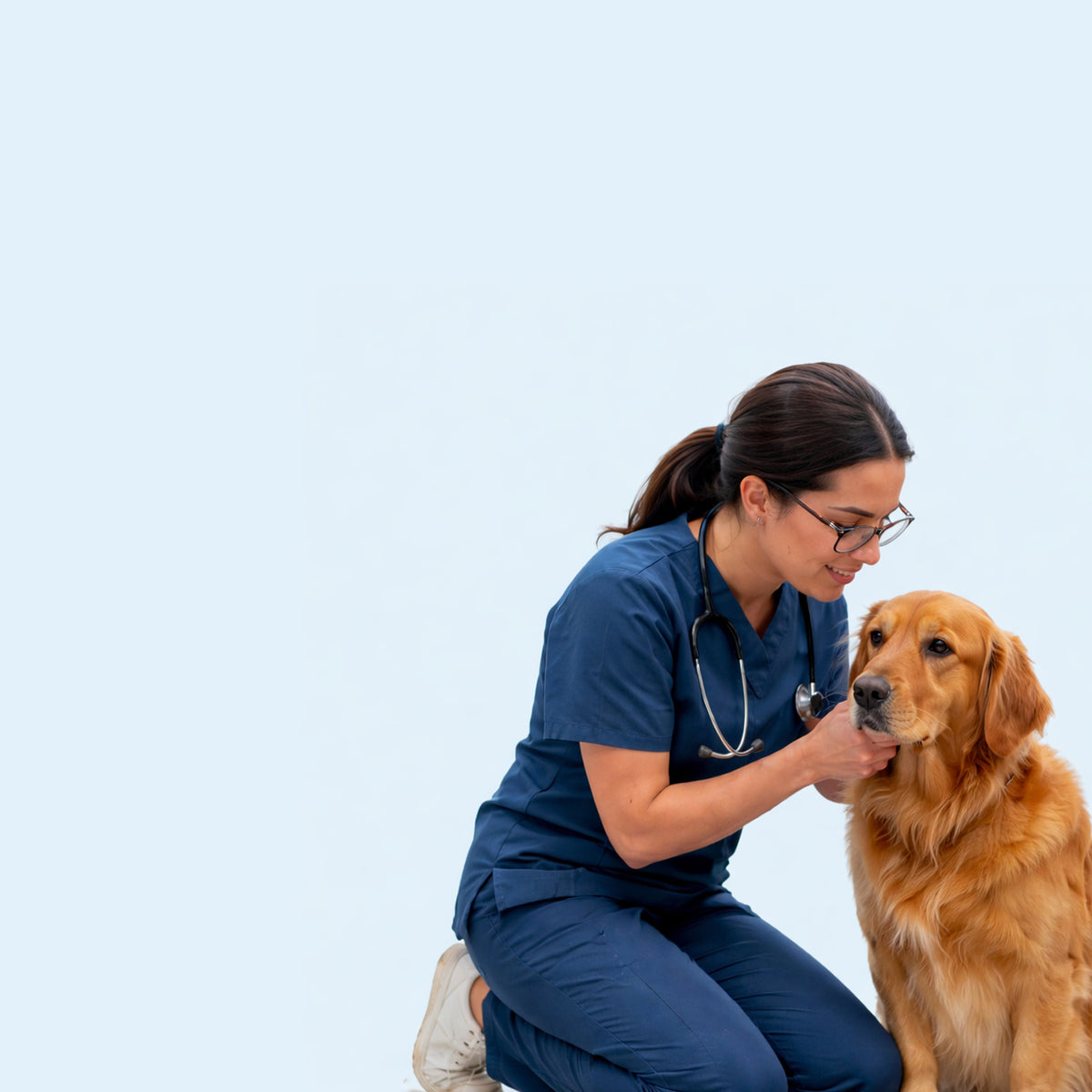 ¿Eres médico veterinario?