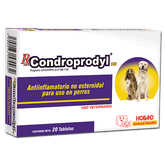 CONDROPRODYL 20 TABS 100 MG