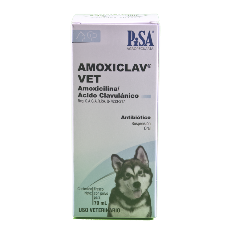 AMOXICLAV VET SUSPENSION 70 ml