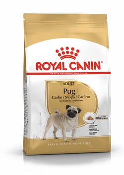 PUG Royal Canin