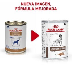 Lata Gastro Intestinal Low Fat Royal Canin .385 Gr.
