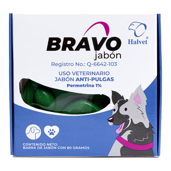 BRAVO JABON INSECTICIDA 80 ML