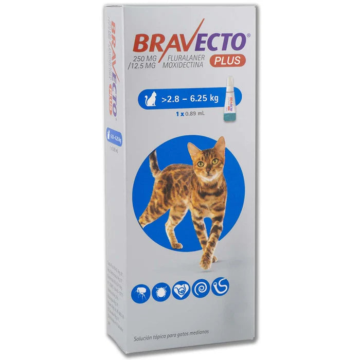 BRAVECTO PLUS GATO 2.8 A 6.25 KG