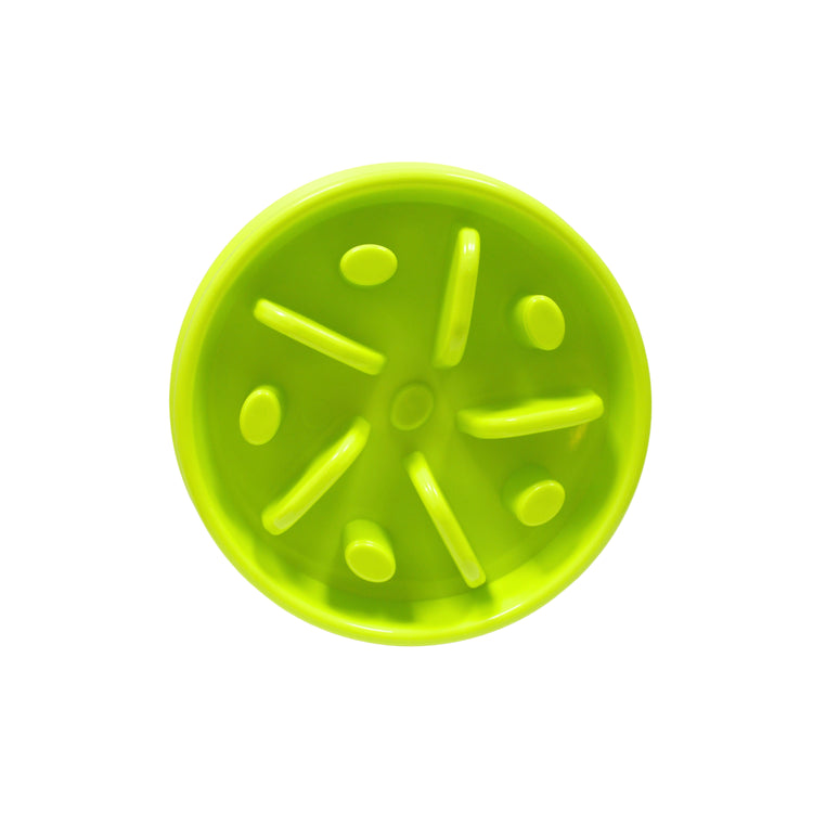 COMEDERO LENTO PARA PERRO VERDE