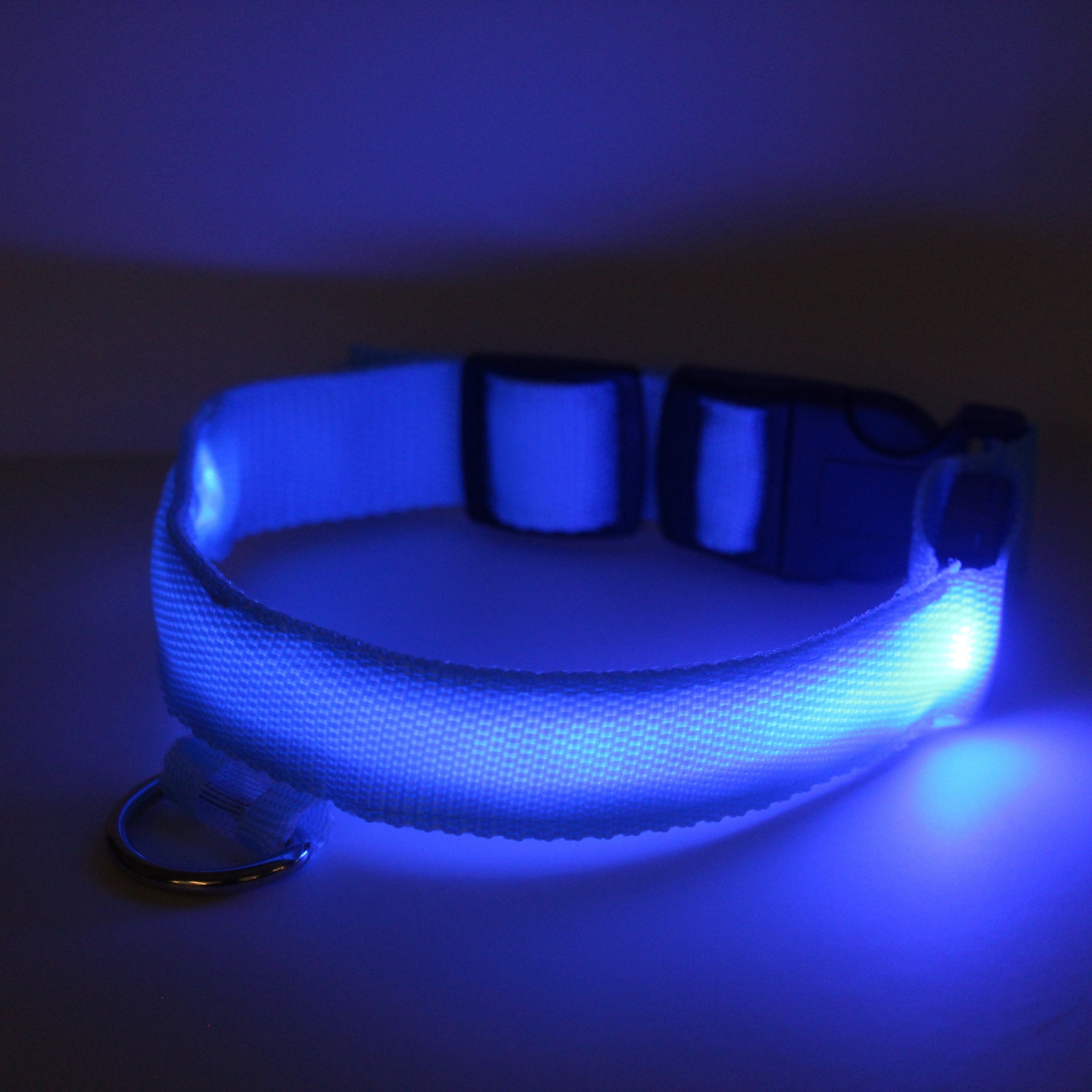 Collar Para Perro Con Luz Led AZUL
