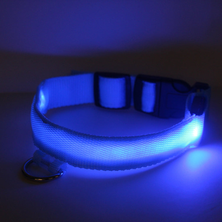 Collar Para Perro Con Luz Led AZUL