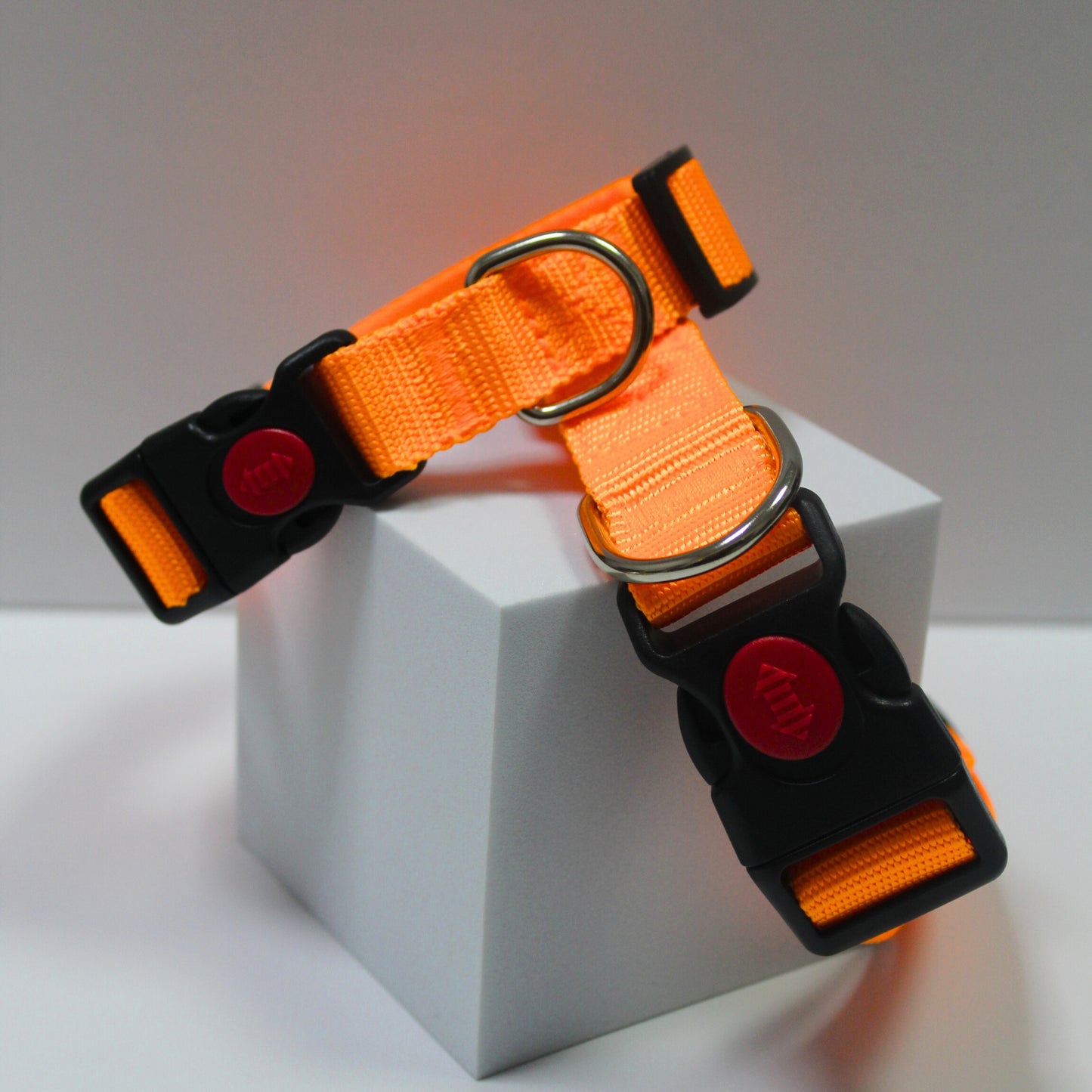 COLLAR NARANJA PARA PERROS (diferentes tamaños)