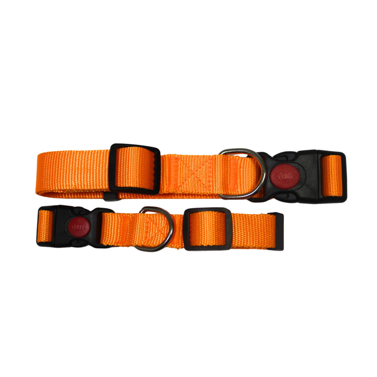 COLLAR NARANJA PARA PERROS (diferentes tamaños)