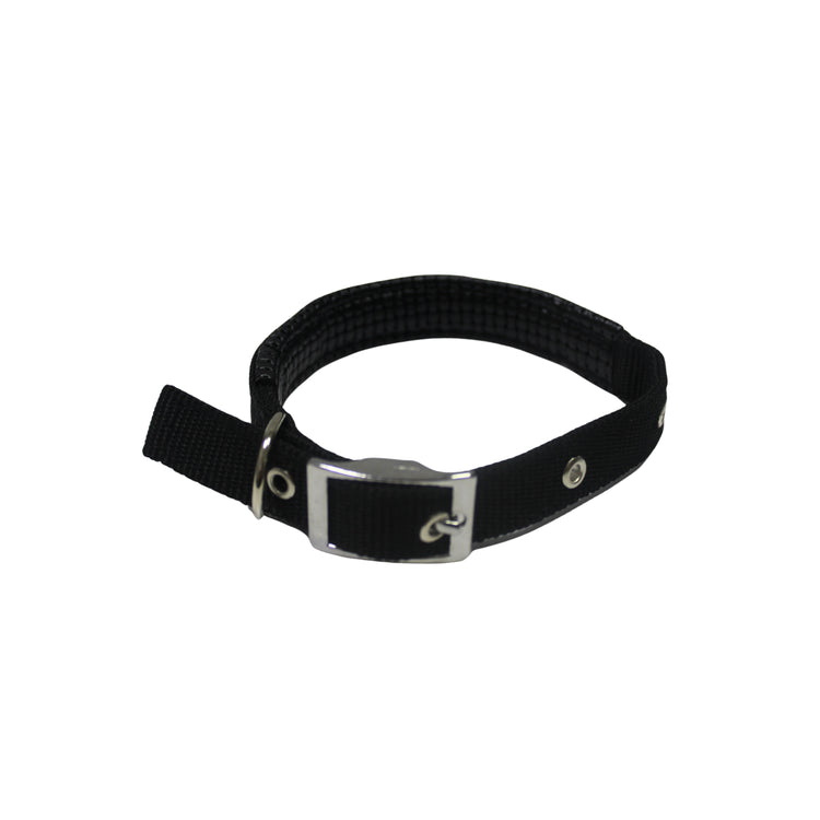 Collar Para Perro Negro (diferentes tamaños)