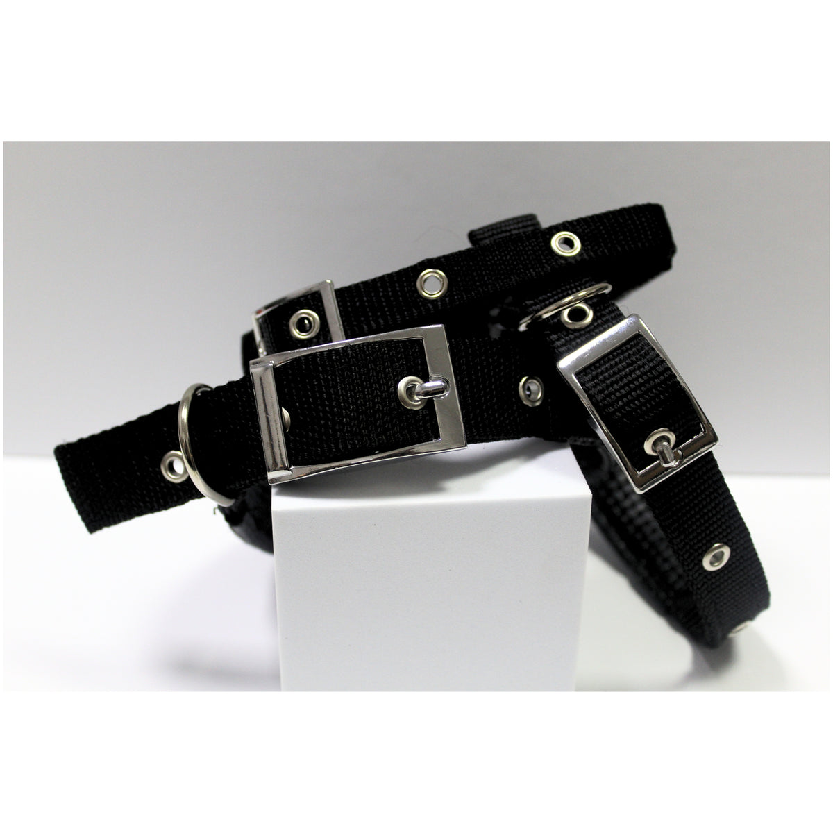 Collar Para Perro Negro (diferentes tamaños)
