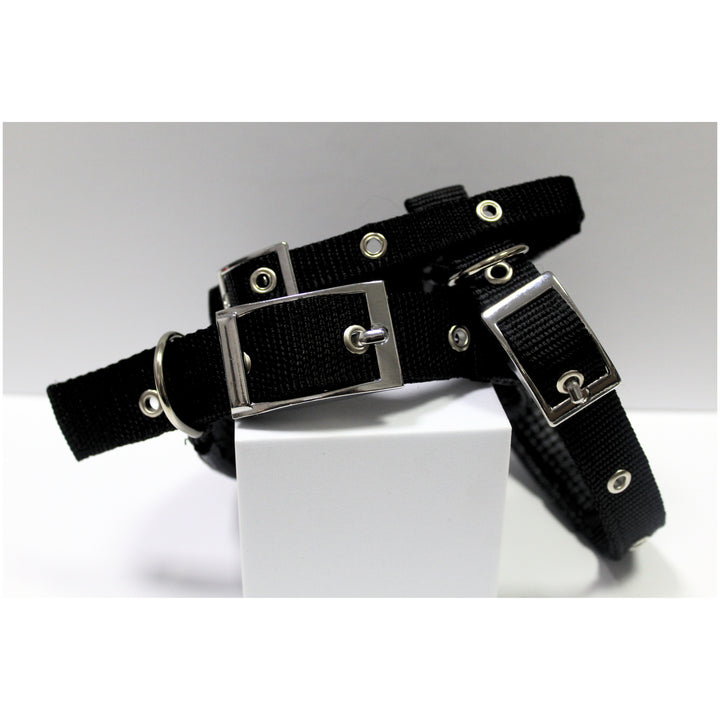 Collar Para Perro Negro (diferentes tamaños)