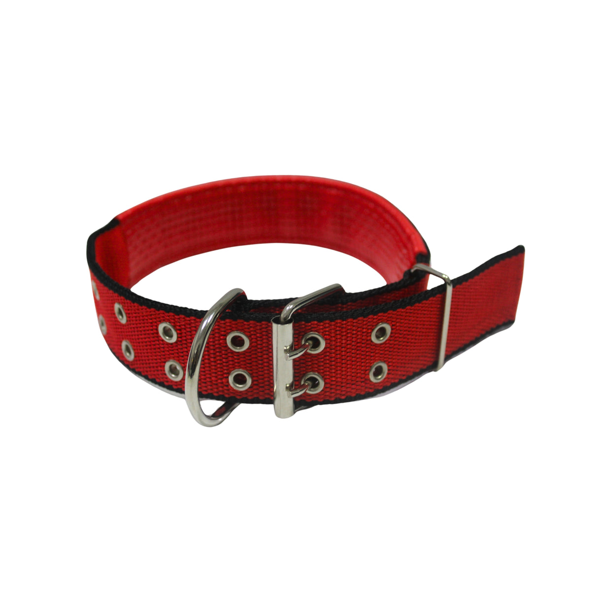 Collar Para Perro Rojo (diferentes tamaños)