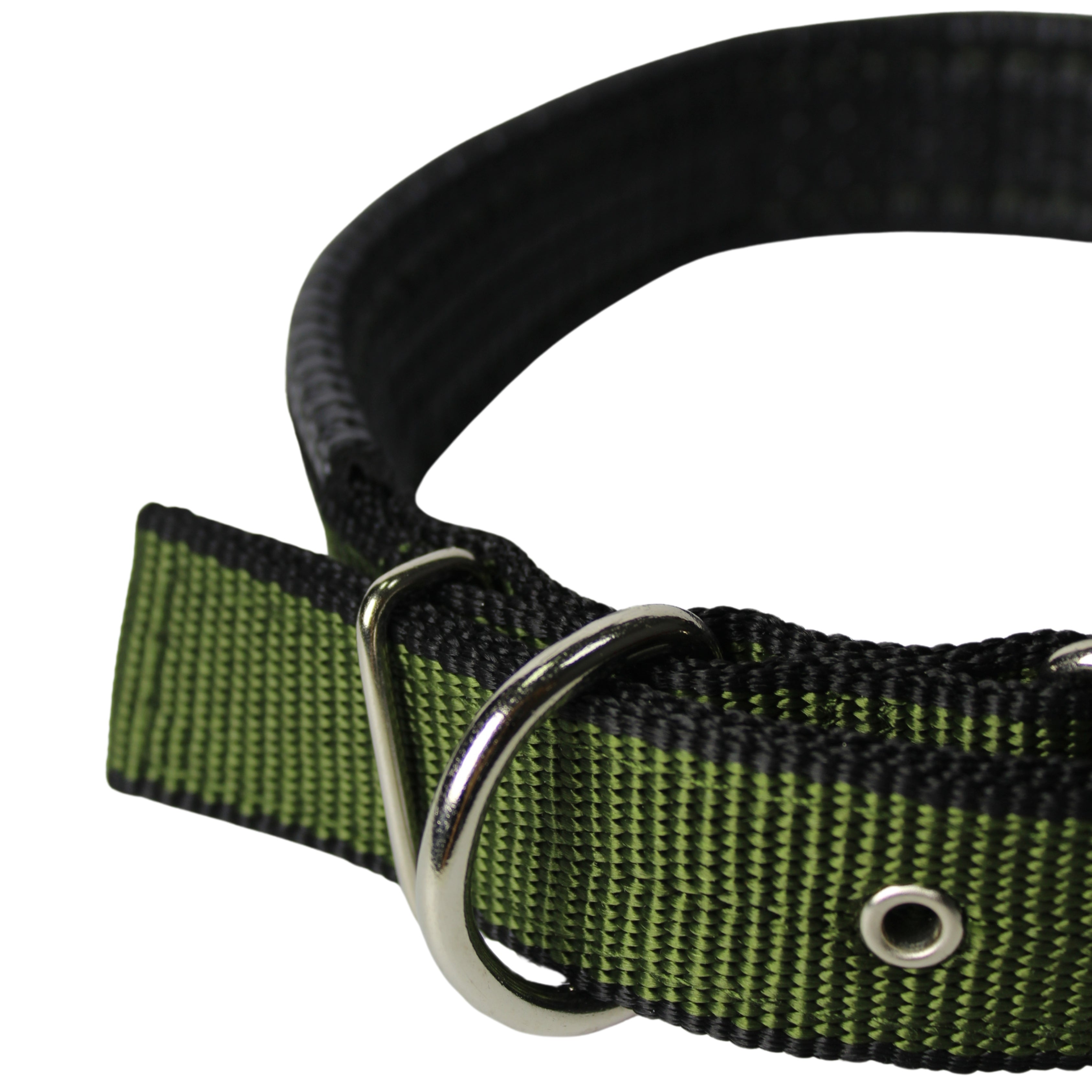 Collar para Perro Verde (diferentes tamaños)