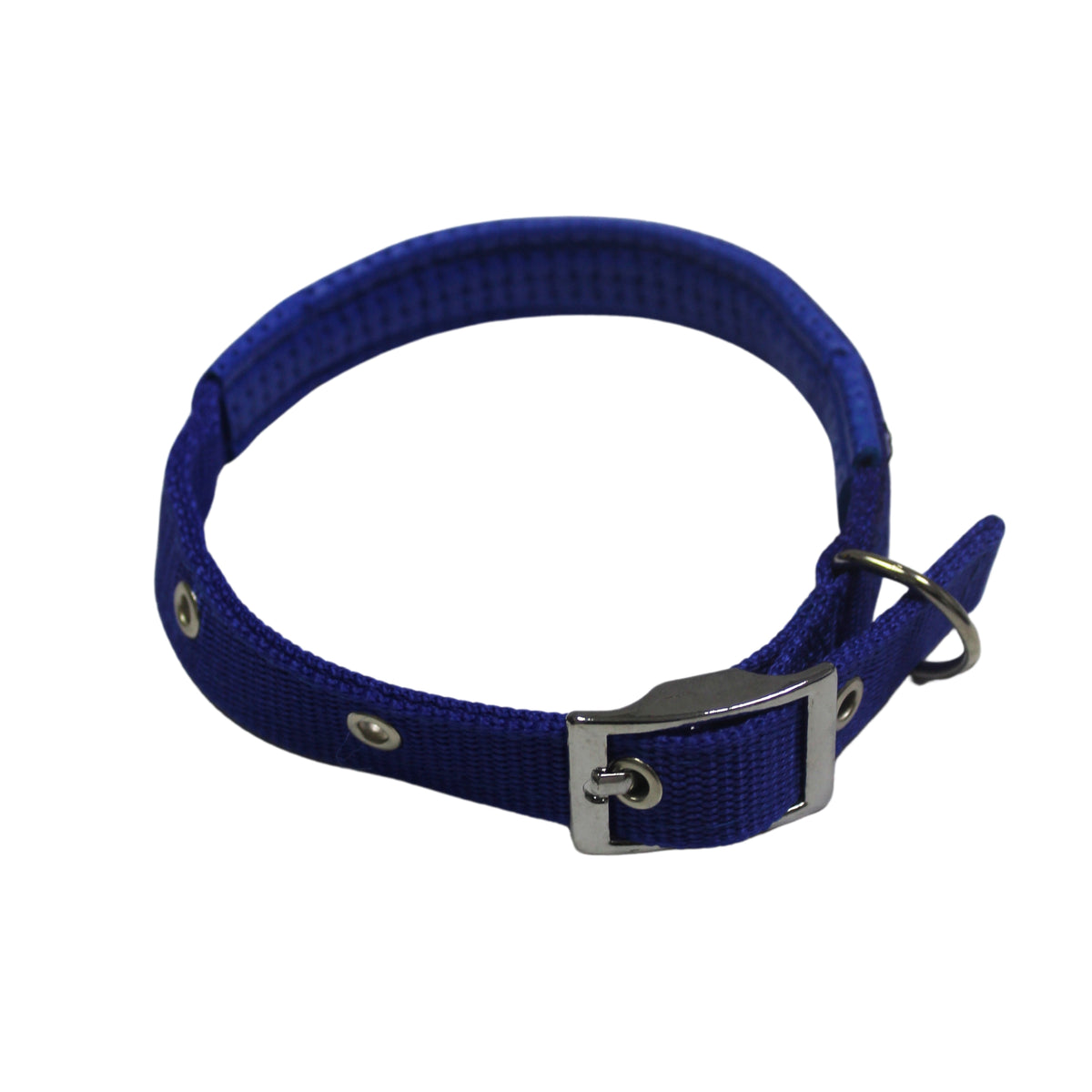 Collar Para Perro Azul