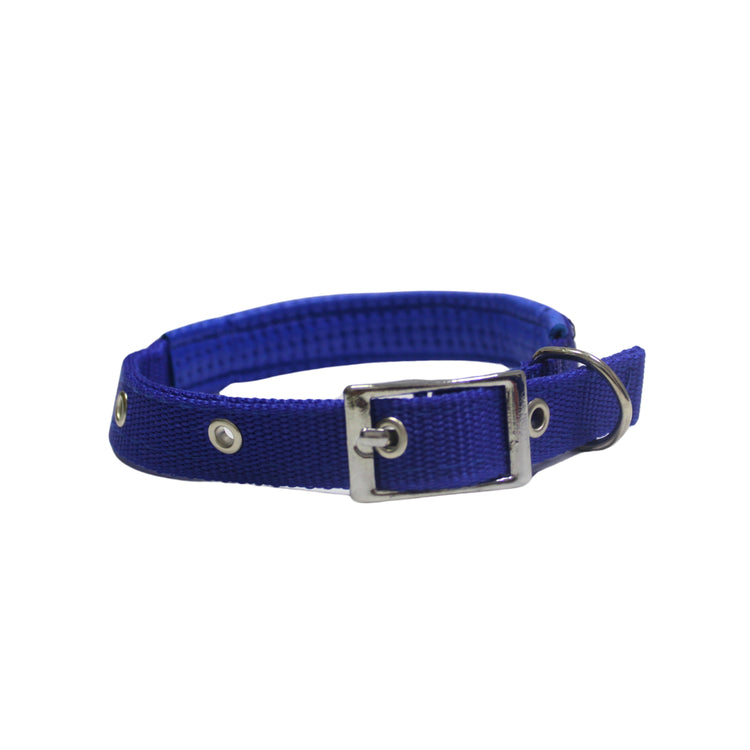 Collar Para Perro Azul