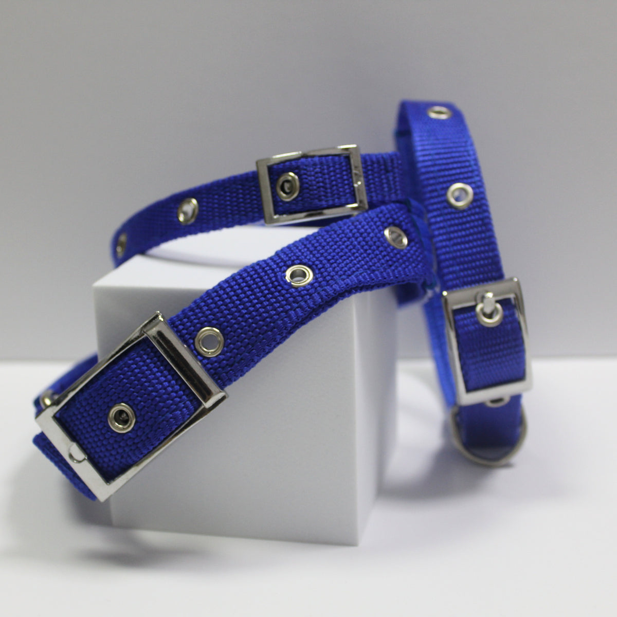 Collar Para Perro Azul