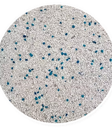 ARENA ALFA CAT 5+1KG