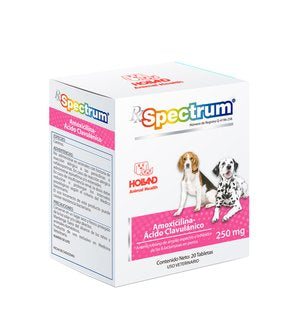 AMOXICILINA Y ACIDO CLAVULANICO 250 mg