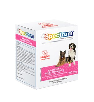 AMOXICILINA Y ACIDO CLAVULANICO 500 mg C